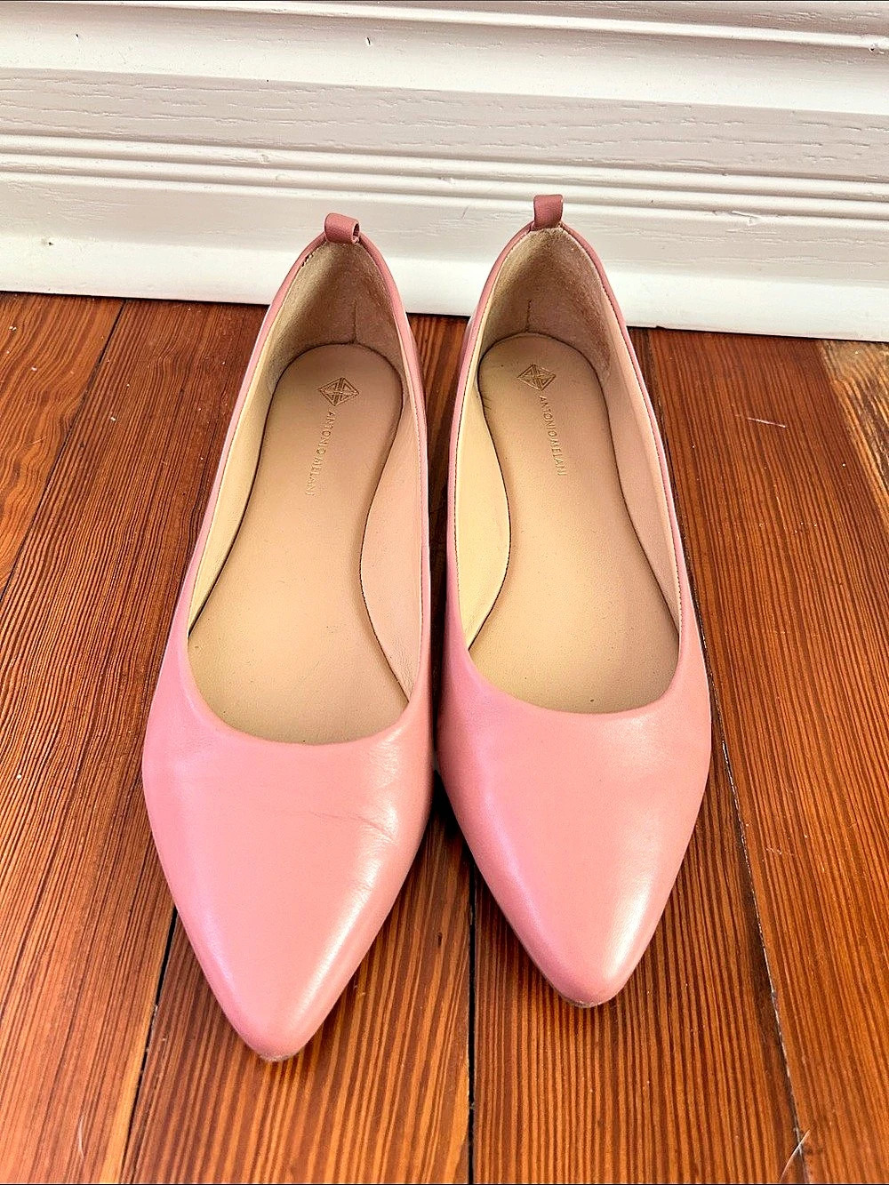 Antonio Melani Pointed Toe Flats in Pink